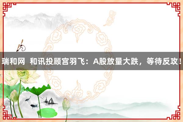 瑞和网  和讯投顾宫羽飞：A股放量大跌，等待反攻！