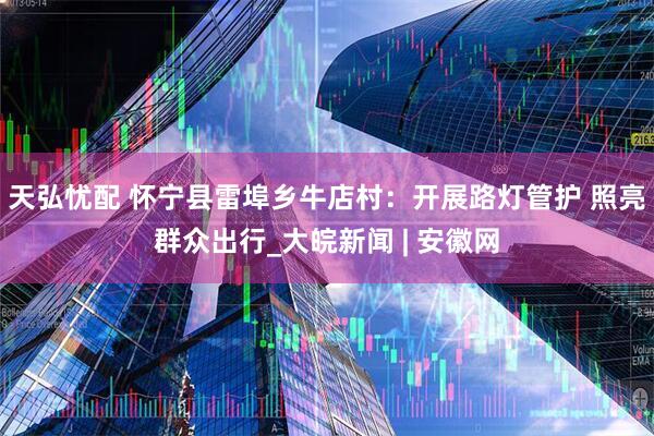 天弘忧配 怀宁县雷埠乡牛店村：开展路灯管护 照亮群众出行_大皖新闻 | 安徽网