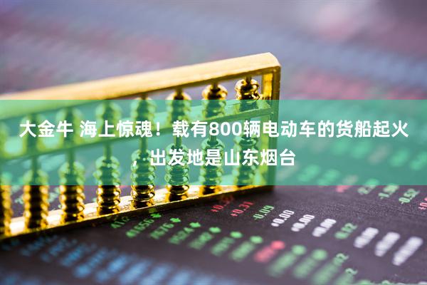 大金牛 海上惊魂！载有800辆电动车的货船起火，出发地是山东烟台