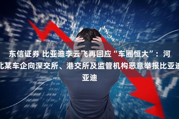 东信证券 比亚迪李云飞再回应“车圈恒大”：河北某车企向深交所、港交所及监管机构恶意举报比亚迪