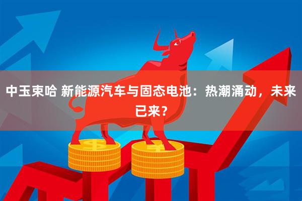 中玉束哈 新能源汽车与固态电池：热潮涌动，未来已来？