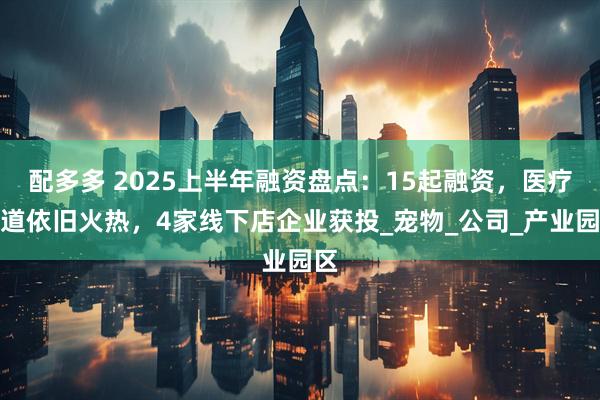 配多多 2025上半年融资盘点：15起融资，医疗赛道依旧火热，4家线下店企业获投_宠物_公司_产业园区
