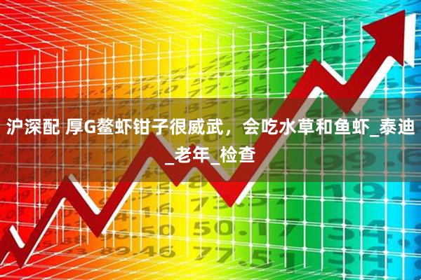 沪深配 厚G鳌虾钳子很威武，会吃水草和鱼虾_泰迪_老年_检查