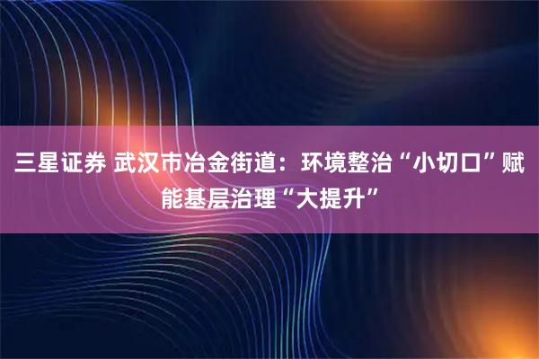 三星证券 武汉巿冶金街道：环境整治“小切口”赋能基层治理“大提升”