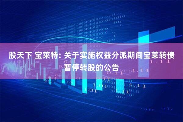 股天下 宝莱特: 关于实施权益分派期间宝莱转债暂停转股的公告