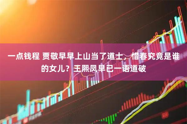 一点钱程 贾敬早早上山当了道士，惜春究竟是谁的女儿？王熙凤早已一语道破